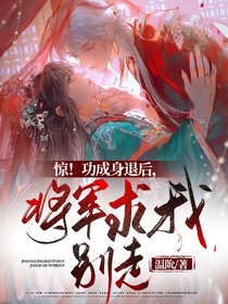 惊！功成身退后将军求我别走