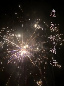 遗忘林清河