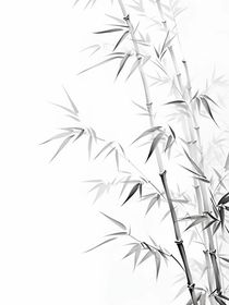 这个配角真不好当
