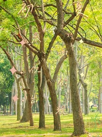 初夏：感谢你的出现