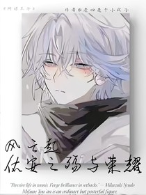 网球风云起：佑安之殇与荣耀