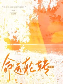 斗龙之命运轮转