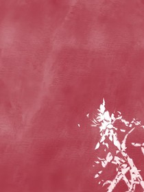 狗血?jiǎng)∏锽E