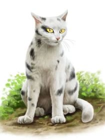 暗紫：我在你身边