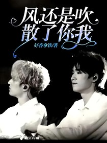 风还是吹散了你我