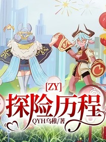 ZY：探险历程