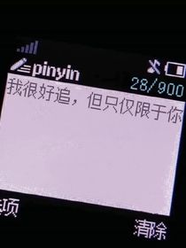 遇见你，我很荣幸……