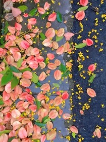 她的心思