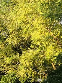 櫓恒（一篇完結(jié)）