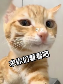 時(shí)時(shí)安