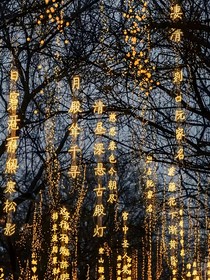 將軍之殿下雨