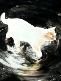 获得直播系统后
