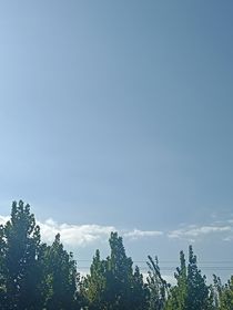 梅總大戰(zhàn)胖胖八百回合