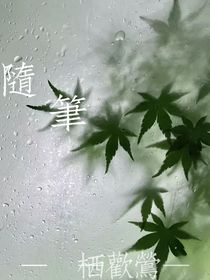 ——隨筆——小說——