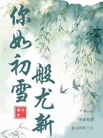 TF四代——你如初雪般尤新