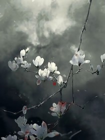 综视：美人不好惹