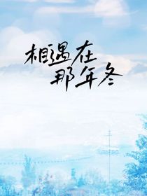 相遇在那年冬