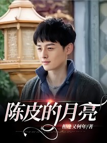 陈皮的月亮