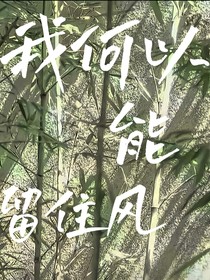 我何以能留住風