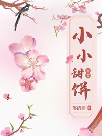 小小甜饼，双女主随笔合集