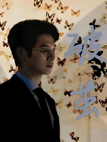 综影视：破茧