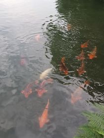 RRRR的高中实录