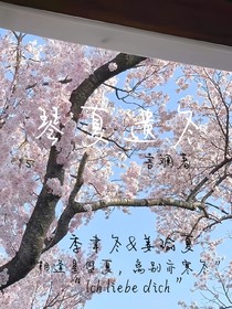 琴夏遗冬