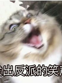 关于我宿舍中的故事