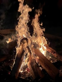 暗河蛛网
