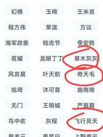 汪汪隊(duì)新的世界