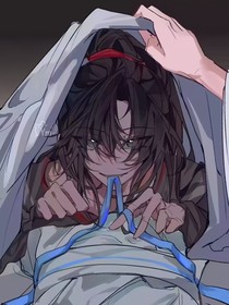 忘机和羡羡的日常生活甜宠