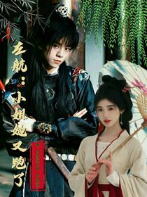 左航：小姐她又跑了