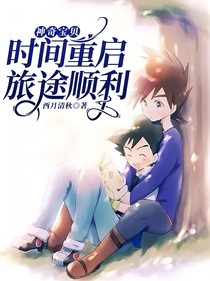 神奇宝贝：时间重启，旅途顺利