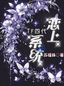 TF四代：戀上系統(tǒng)