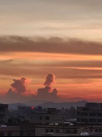 love——yuan