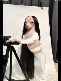 楊博文：呆咩逢春