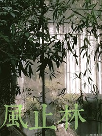 風(fēng)止林