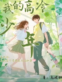 我的高冷少年