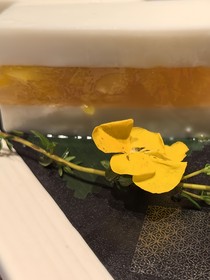 斯东与霍尔