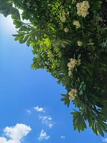 一些無(wú)聊時(shí)寫(xiě)的隨筆