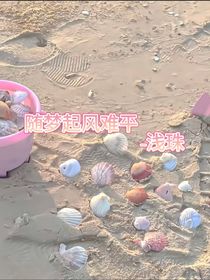 随风起风难平