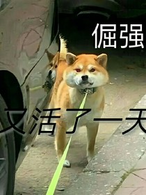 凹凸：又活了一天