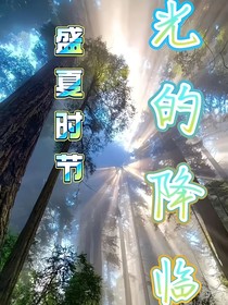 盛夏时节：光的降临
