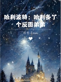 哈利波特：哈利多了个反面弟弟