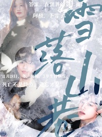 TOP登陆少年—雪落山巷