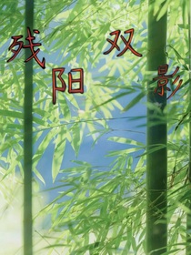 残阳双影