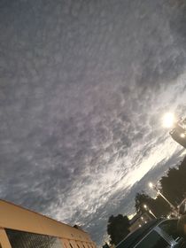 前男友成了我上司？