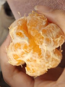 天灾之下：昇之