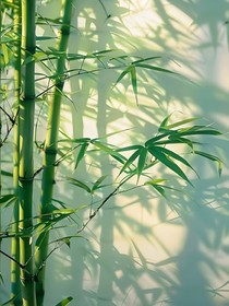 穿越小说改变结局