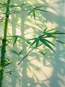 穿越小说做任务